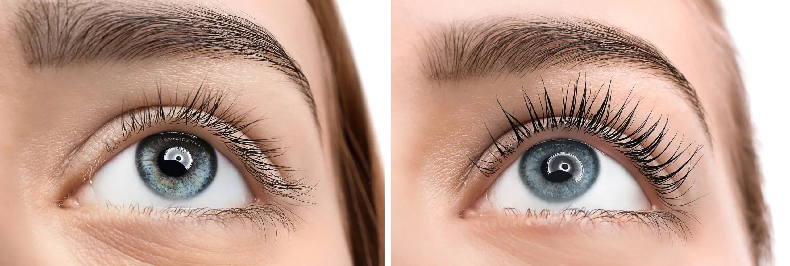 How Long Does a Lash Lift and Tint Last? They Lied to You